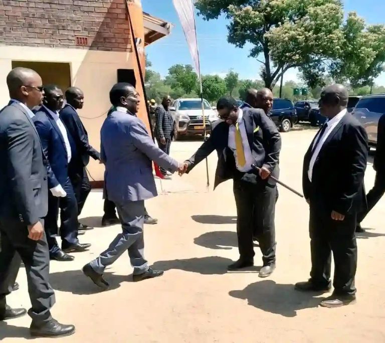 Tshabangu Set To Receive CCC Political Party Funds