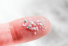 Microplastics and nanoplastics have been found throughout the human body – how worried should we be? Microplastics and nanoplastics have been found throughout the human body – how worried should we be?
