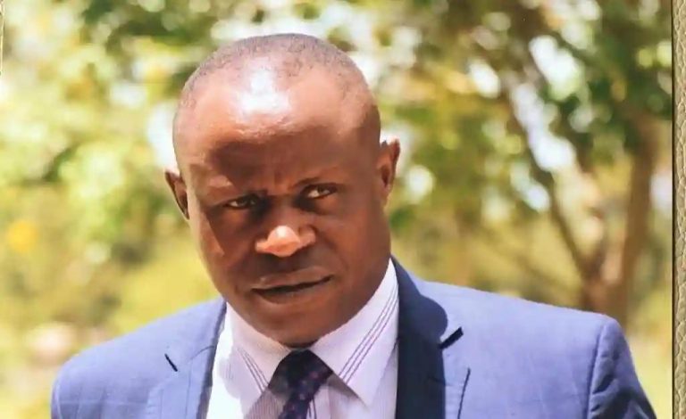 Former Deputy Minister Bright Matonga Released On US$600 Bail