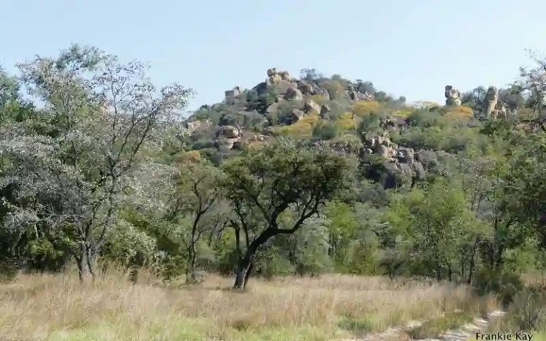 ZANU PF Faces Backlash From Traditionalists Over King Munhumutapa's Matopos Rituals