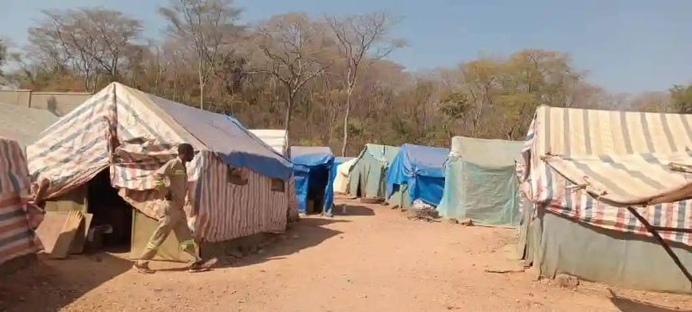 200 Workers At Chinese Mine Use Bush Toilets, Sleep In Shacks
