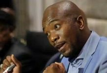 Maimane Warns Chamisa: Posting Bible Verses Won’t Win Elections Maimane Warns Chamisa: Posting Bible Verses Won't Win Elections