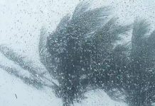 Tropical Storm Bheki On Track To Pass Close Mauritius Tropical Storm Bheki On Track To Pass Close Mauritius