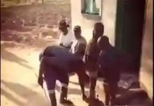 ZRP Probes Brutal Assault Of Two Boys In Madziwa After Video Goes Viral ZRP Probes Brutal Assault Of Two Boys In Madziwa After Video Goes Viral