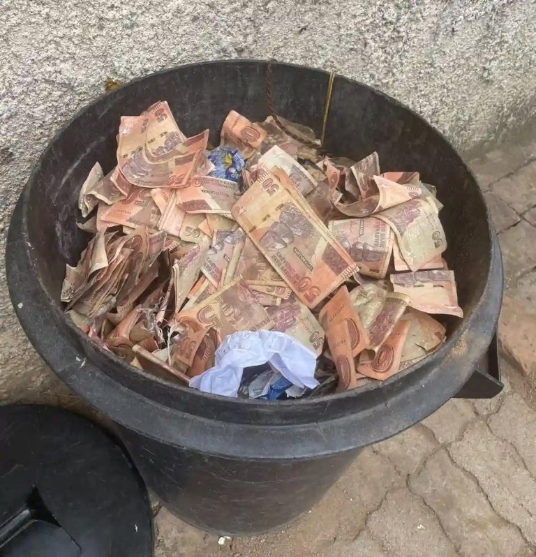 Harare City Council Orders Business Owners To Place Three Bins At Premises