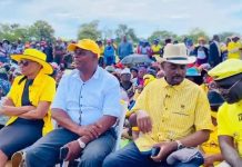 Chamisa Did Not Want Welshman Ncube And Tendai Biti In CCC, Says Mutebuka Chamisa Did Not Want Welshman Ncube And Tendai Biti In CCC, Says Mutebuka