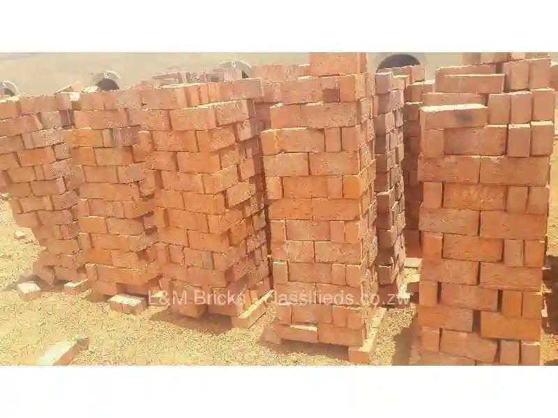 Freeman Chari's Citizens Initiative Walks Away From Chingwizi Classroom Project, Cites Bureaucratic Hurdles Freeman Chari's Citizens Initiative Walks Away From Chingwizi Classroom Project, Cites Bureaucratic Hurdles