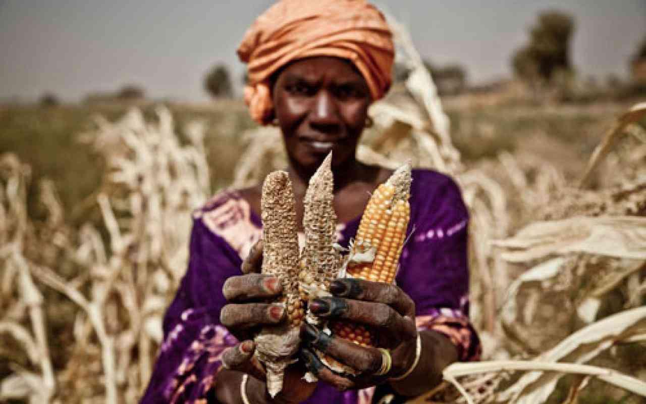 Govt urged to craft food security strategy Govt urged to craft food security strategy