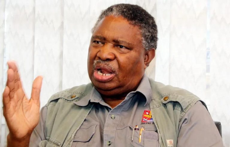 ED declares erstwhile colleague Mphoko national hero
