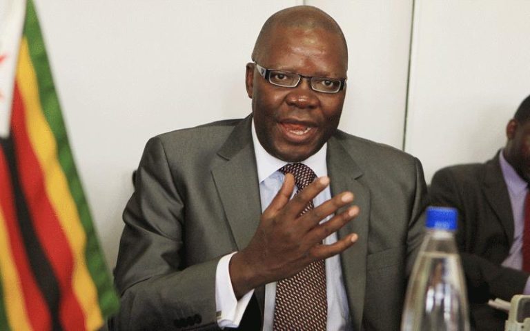Biti Says Mutapa Fund Used For Secretive Privatisation Of Parastatals