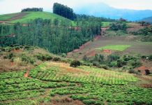 Zimbabwean Government Fails To Pay Agreed Compensation To White Farmers Zimbabwean Government Fails To Pay Agreed Compensation To White Farmers