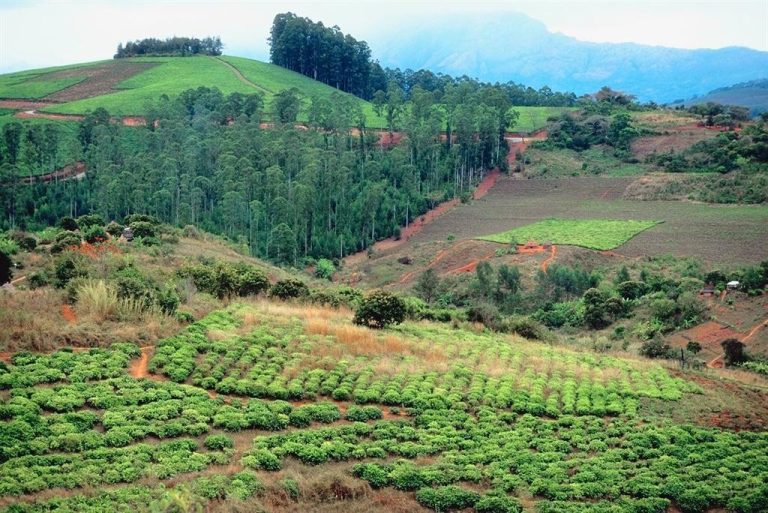 Zimbabwean Government Fails To Pay Agreed Compensation To White Farmers