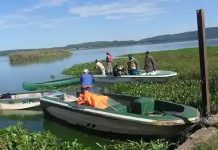 Mnangagwa Gifts 10 Ankole Cattle To Botswana’s President | Report Mnangagwa Gifts 10 Ankole Cattle To Botswana's President | Report