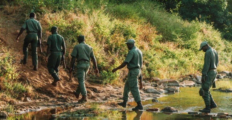 Two Poachers Shot Dead By ZIMPARKS Rangers In Makuti... More Details Emerge