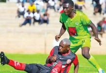 Michael Nees Advises Khama Billiat On Next Career Move Michael Nees Advises Khama Billiat On Next Career Move