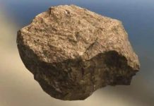 Harare Man (32) Stoned To Death Over Gay Taunt Harare Man (32) Stoned To Death Over Gay Taunt