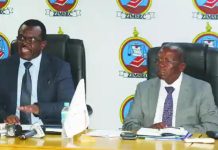 ZIMSEC Calls For Reforms As Ordinary Level Pass Rate Remains Below 50% ZIMSEC Calls For Reforms As Ordinary Level Pass Rate Remains Below 50%