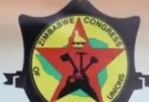 ZCTU Slams Civil Servant Retirement Age Extension ZCTU Slams Civil Servant Retirement Age Extension