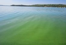 Illicit Fishing Continues Unabated At Lake Chivero Despite Ban Illicit Fishing Continues Unabated At Lake Chivero Despite Ban