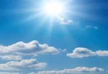 Anita’s Natural Hair Care Anita's Natural Hair Care