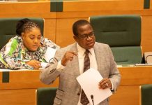 Mthuli Announces New Measures To Address Informalisation Of The Economy | Full Statement Mthuli Announces New Measures To Address Informalisation Of The Economy | Full Statement