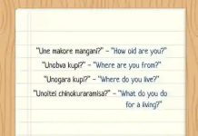 Plumtree Students Challenge Teacher’s Remarks On Shona Language Plumtree Students Challenge Teacher's Remarks On Shona Language