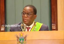 Mnangagwa Supports The Deportation Of Undocumented Zimbabweans From United States Mnangagwa Supports The Deportation Of Undocumented Zimbabweans From United States