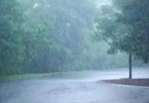 Heavy Rain And Strong Winds Expected Across Zimbabwe From 8 To 11 February Heavy Rain And Strong Winds Expected Across Zimbabwe From 8 To 11 February