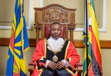 Harare Loses US$10 Million Annually Due To Leakages, Says Mayor Harare Loses US$10 Million Annually Due To Leakages, Says Mayor