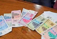 Zimbabwe Not Yet Ready For Shift To Mono-currency, Says Mthuli Zimbabwe Not Yet Ready For Shift To Mono-currency, Says Mthuli