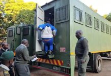 Mutsvangwa Claims Mnangagwa Secured Release Of His Son, Neville, From Prison Mutsvangwa Claims Mnangagwa Secured Release Of His Son, Neville, From Prison