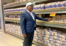 “Mthuli Ncube Is A Sellout. Sadly, Not The Only One – Part 2” "Mthuli Ncube Is A Sellout. Sadly, Not The Only One - Part 2"