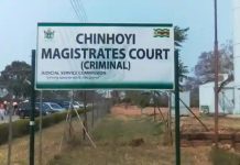 Two Police Officers Demand US$60 Weekly Bribe From Transport Operator Two Police Officers Demand US$60 Weekly Bribe From Transport Operator