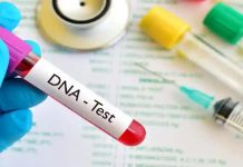 72% Of DNA Tests In Zimbabwe Reveal Fathers Are Unknowingly Raising Children Who Aren’t Their Own 72% Of DNA Tests In Zimbabwe Reveal Fathers Are Unknowingly Raising Children Who Aren’t Their Own