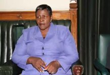 Chinomona Fires Back At Mnangagwa’s Critics Chinomona Fires Back At Mnangagwa's Critics