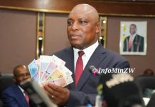 Mushayavanhu: All Local Transactions To Be In ZiG By 2030 Mushayavanhu: All Local Transactions To Be In ZiG By 2030