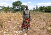 World Food Programme Closes Its Southern Africa Office World Food Programme Closes Its Southern Africa Office