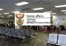 ZEPHA Accuses South Africa’s DHA Of Frustrating ZEP Permit Holders ZEPHA Accuses South Africa’s DHA Of Frustrating ZEP Permit Holders