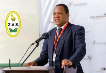 Minister Masuka Blocking TIMB CEO Appointment, Rugeje Tells Parliament Minister Masuka Blocking TIMB CEO Appointment, Rugeje Tells Parliament