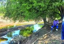 13-Year-Old Boy Poisons River That Serves Five Villages In Beitbridge 13-Year-Old Boy Poisons River That Serves Five Villages In Beitbridge