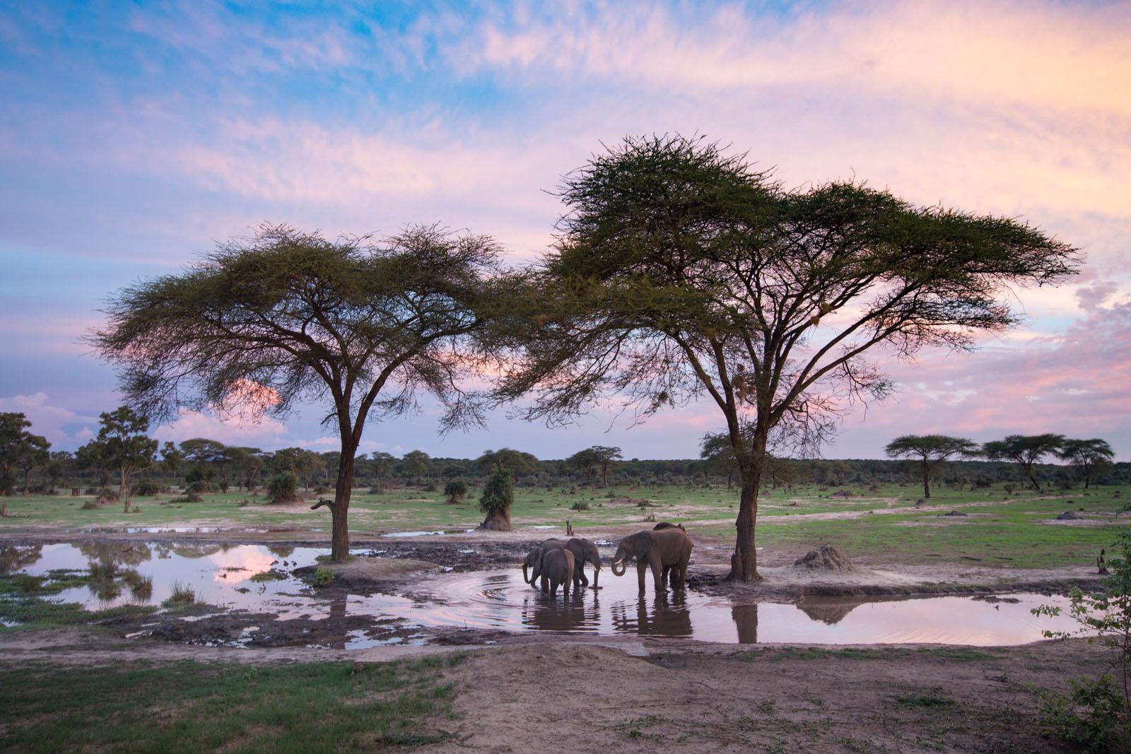 I will not subscribe to mining in national parks – Mudenda slams Sunny Yi Feng’s application to prospect for coal in Hwange National Park I will not subscribe to mining in national parks – Mudenda slams Sunny Yi Feng’s application to prospect for coal in Hwange National Park