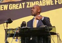 Chamisa: The Scale Of Brain Drain Zimbabwe Is Experiencing Is Staggering Chamisa: The Scale Of Brain Drain Zimbabwe Is Experiencing Is Staggering