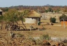 Government Orders Traditional Leaders To Stop Sabhuku Land Deals Government Orders Traditional Leaders To Stop Sabhuku Land Deals