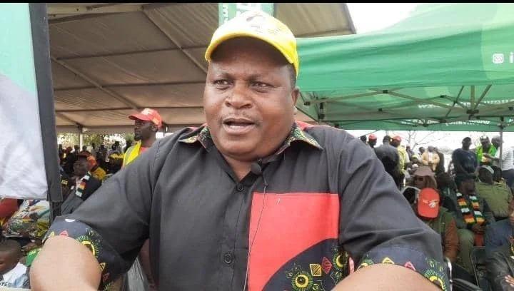 Zanu PF MP Advocates Criminalizing Government Criticism