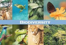 Riches in the Roots: The Battle for Genetic Wealth Riches in the Roots: The Battle for Genetic Wealth