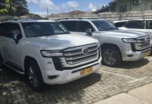 Stolen in Zimbabwe Cleared in Malawi Mystery Unveiled Stolen in Zimbabwe Cleared in Malawi Mystery Unveiled