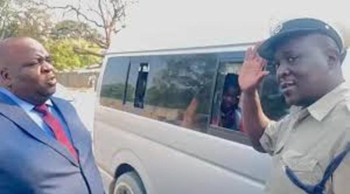 Zanu PF Karoi member injured in fatal head-on collision Zanu PF Karoi member injured in fatal head-on collision