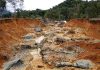 Chinese Nationals Face Legal Issues Over Mining Activities Chinese Nationals Face Legal Issues Over Mining Activities
