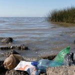 Pollution Crisis in Zimbabwe’s Fight Against Investors Pollution Crisis in Zimbabwe's Fight Against Investors