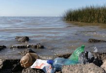 Pollution Crisis in Zimbabwe’s Fight Against Investors Pollution Crisis in Zimbabwe's Fight Against Investors